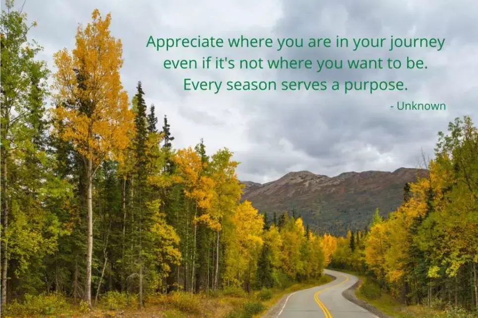 Appreciate where you are in your journey