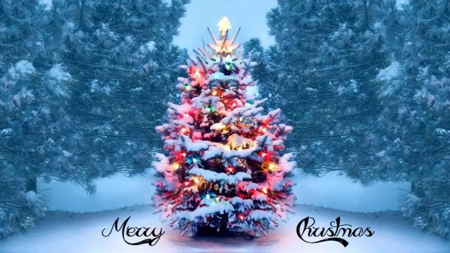 Happy Merry Christmas Image -4