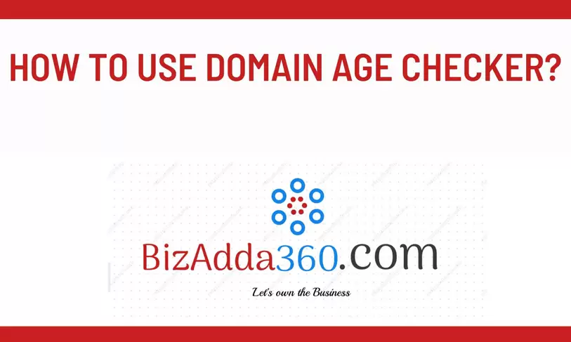 How to use Domain Age Checker?