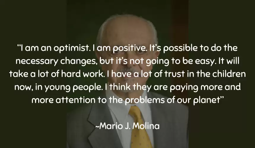 I am an optimist