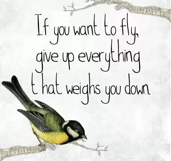 If you want to fly, give up everything that weighs you down