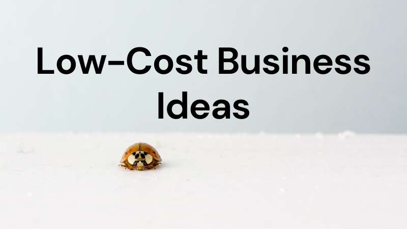 30 Low-Cost Business Ideas