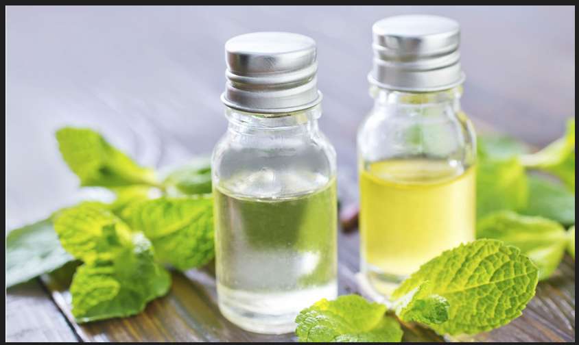 Mentha Oil uses