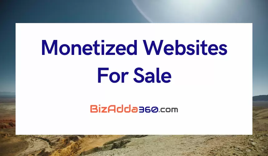 Ready-Made & Monetized Websites for sale