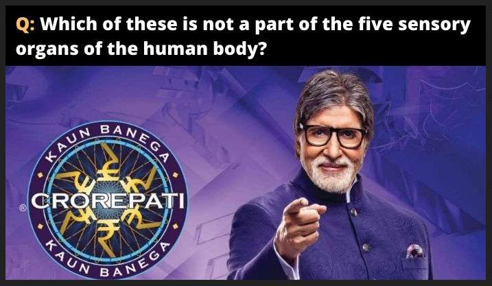 Which of these is not a part of the five sensory organs of the human body?--KBC GBJJ Question 29th Oct. 2021