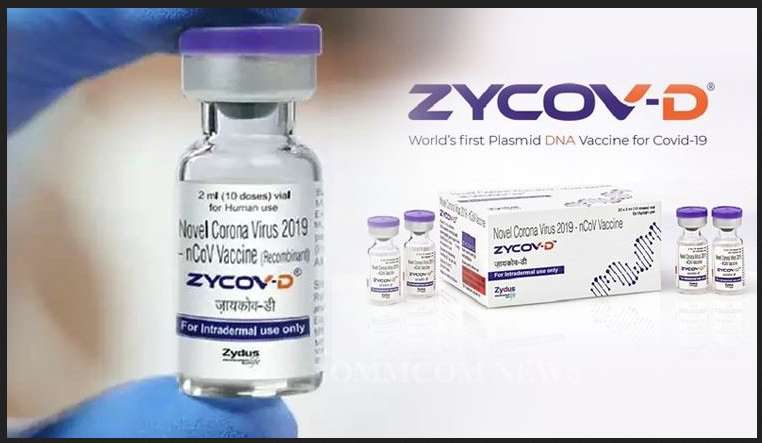 Zycov-D Zydus Cadila vaccine, side effects, efficacy, developed by, approval, launch date, vaccine type, administration, update,  phase 1/2/ 3 trials, and vaccine price in India