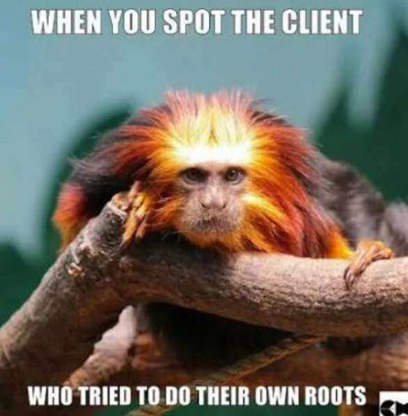 business-memes--when you spot the client