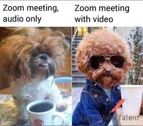 business-memes--zoom audio vs zoom video