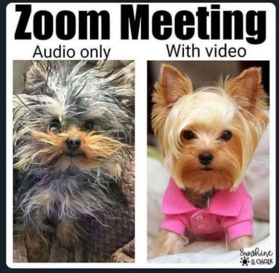 business-memes--zoom audio vs zoom video 2