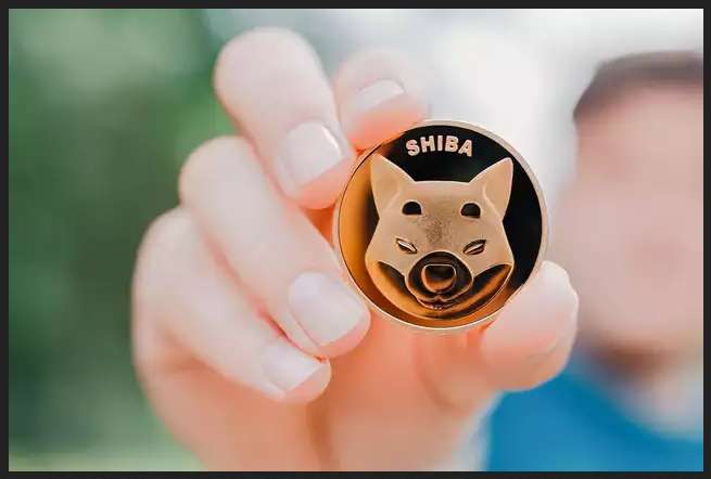 Cryptocurrency Shiba Inu | Check out full news here