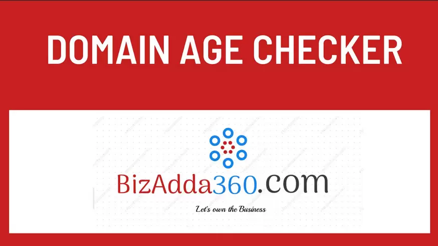 Domain Age Checker