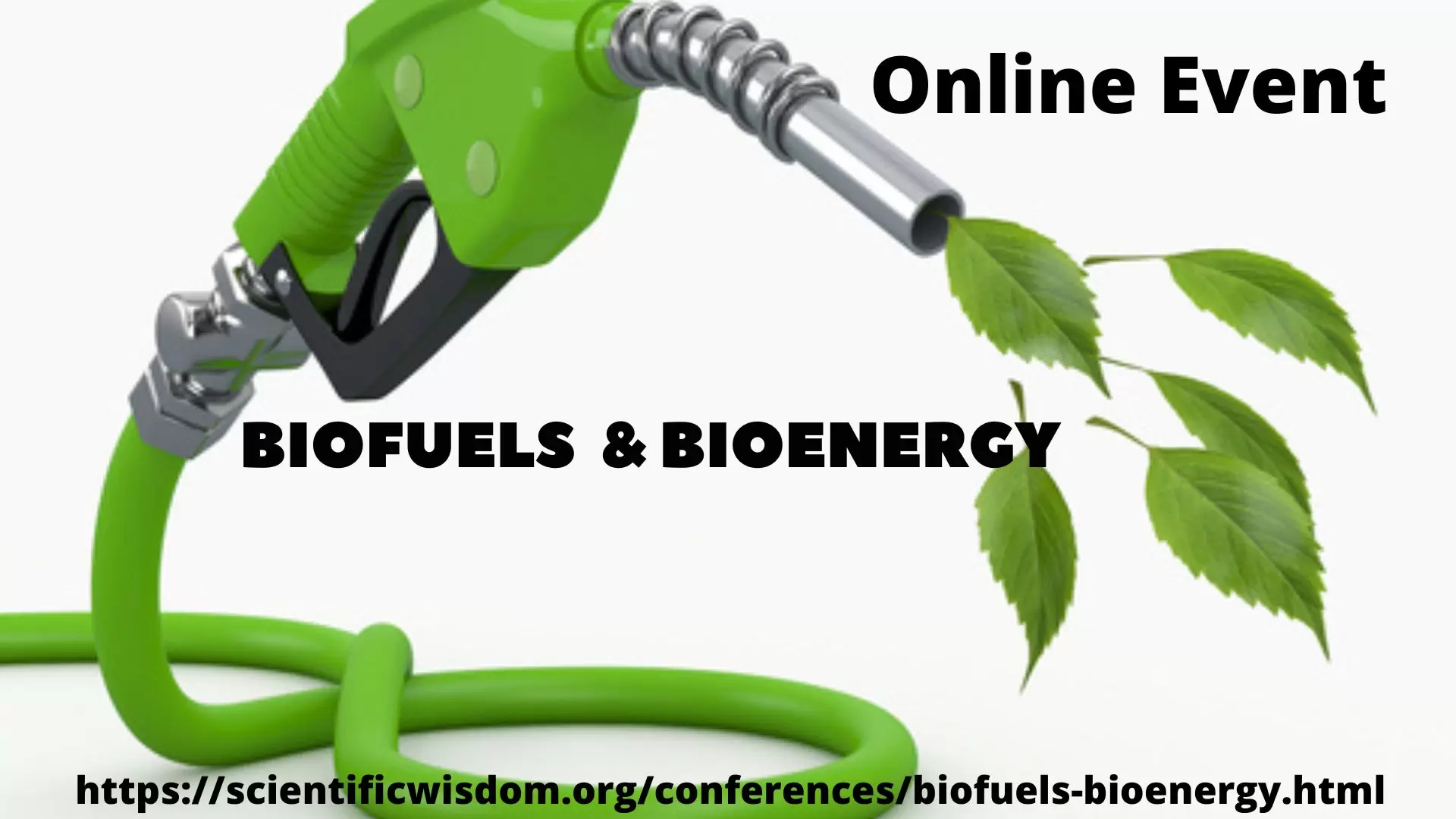 International Online Conference on Biofuels and Bienergy
