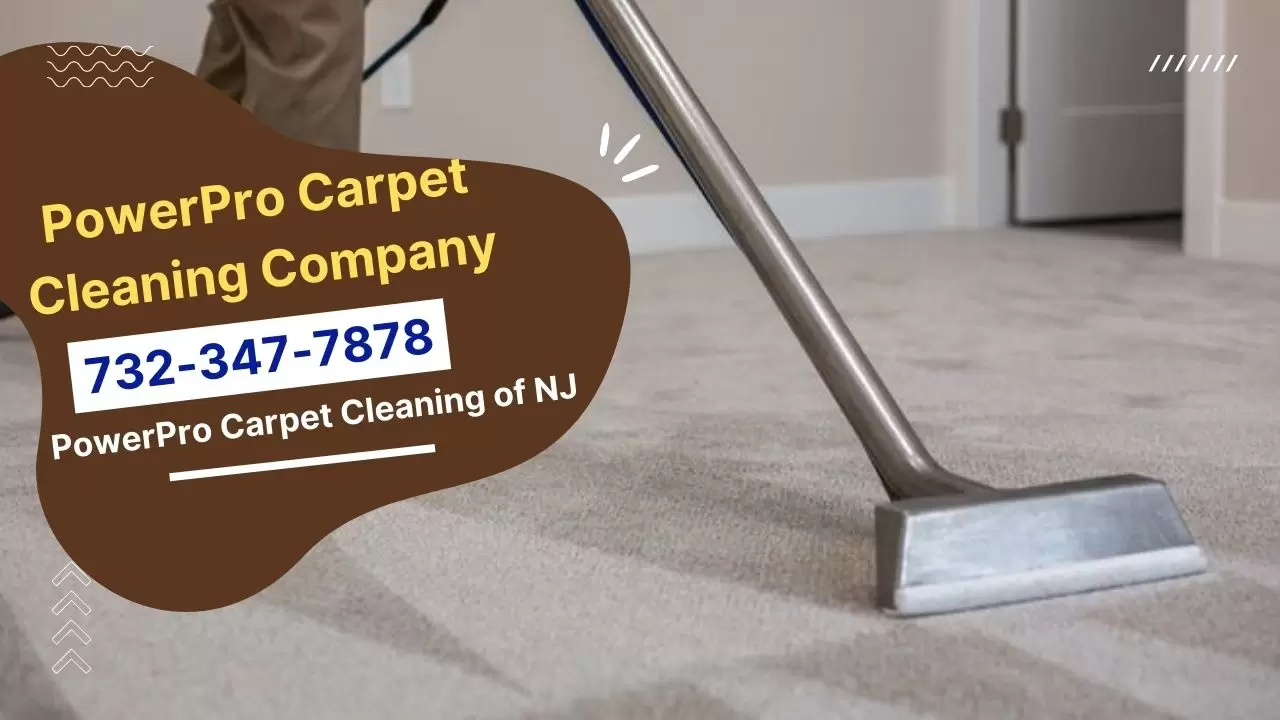Revive Your Carpets: A Professional Cleaning Event in Freehold NJ