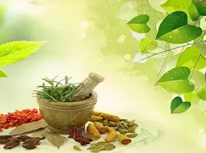 Anamika Herbals