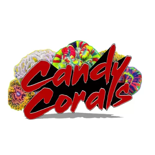 Candy Corals