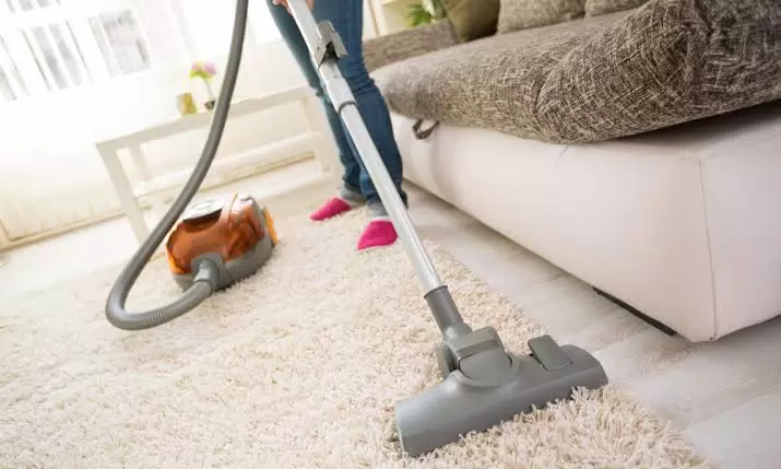 Carpet Cleaning Service