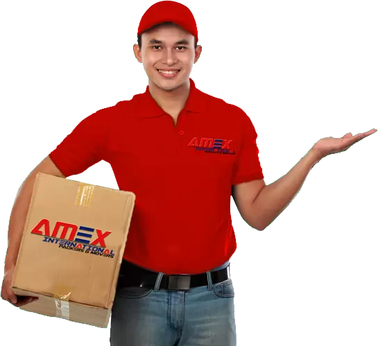 Amex International Packers Movers