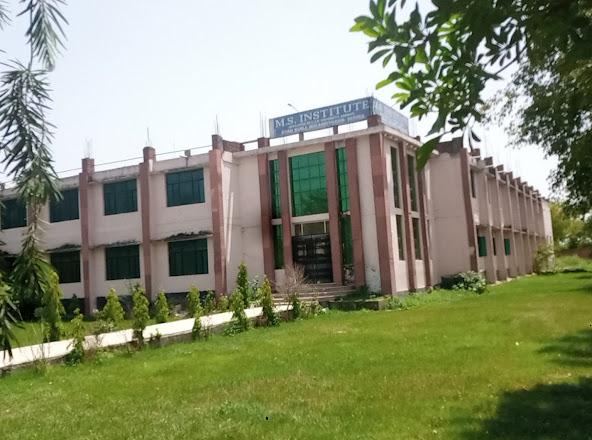 M S Institute