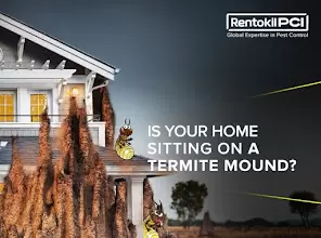 Rentokil PCI Pest Control Service