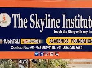 The Skyline Institute