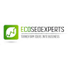 EcoSEOExperts India